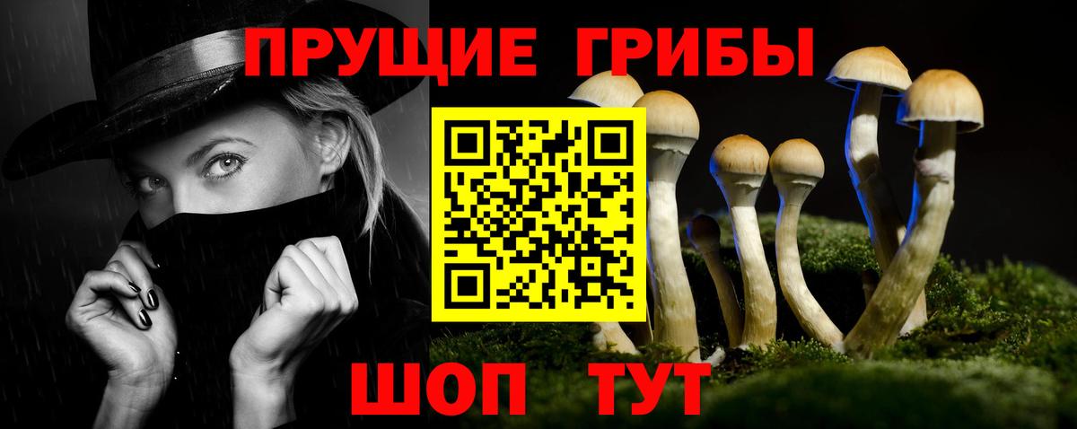 Псилоцибиновые грибы Magic Shrooms  Вход с VPN  Псилоцибиновые грибы MAGIC MUSHROOMS  Калининград 